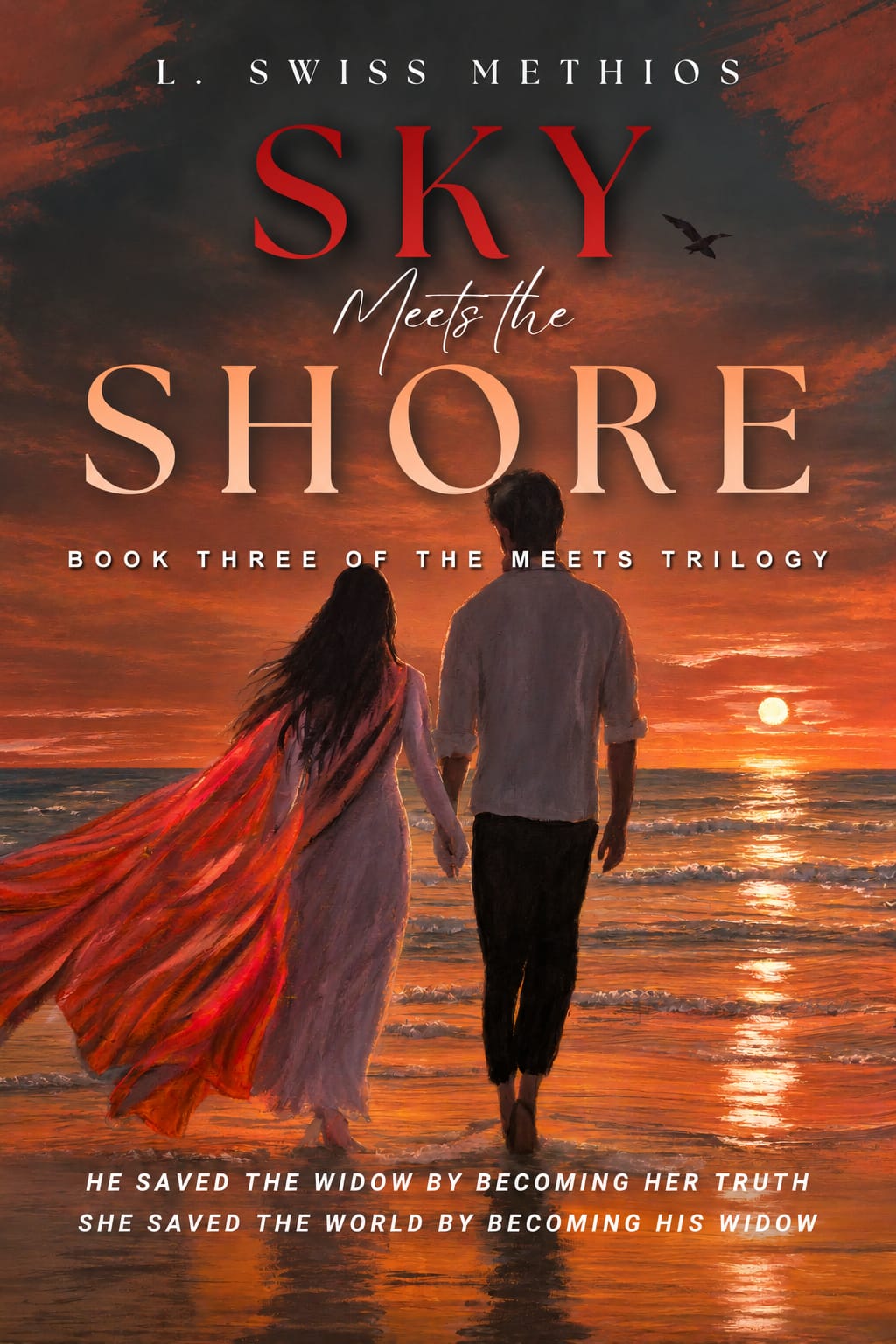 Sky Meets the Shore — Book Three of The Meets Trilogy